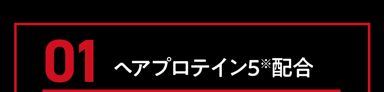 01　ヘアプロテイン5※配合