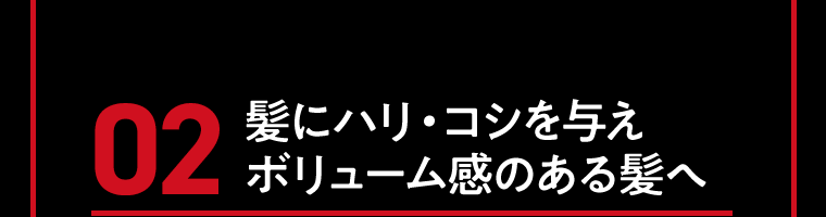 02　髪にハリ・コシを与えボリューム感のある髪へ