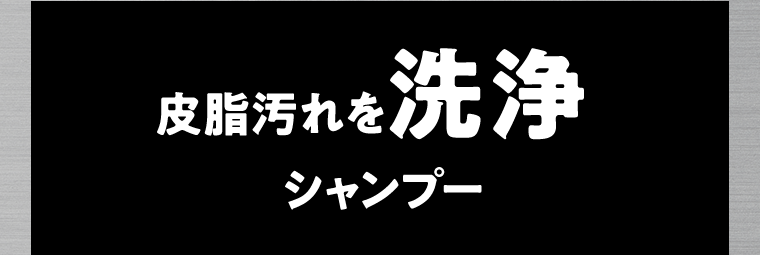 皮脂汚れを洗浄　シャンプー