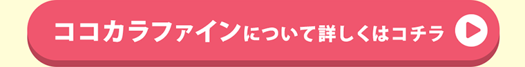 ココカラファインについて詳しくはコチラ