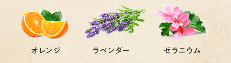 オレンジ ラベンダー ゼラニウム