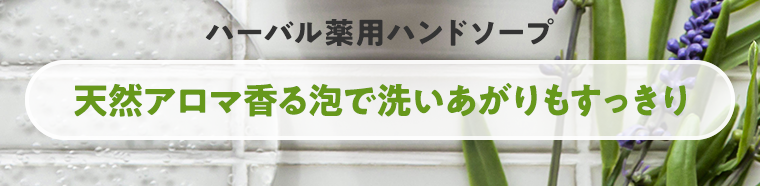 ハーバル薬用ハンドソープ「天然アロマ香る泡で洗いあがりもすっきり」