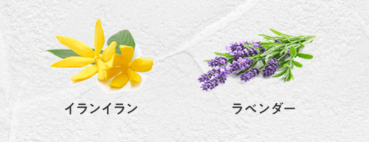 イランイラン ラベンダー
