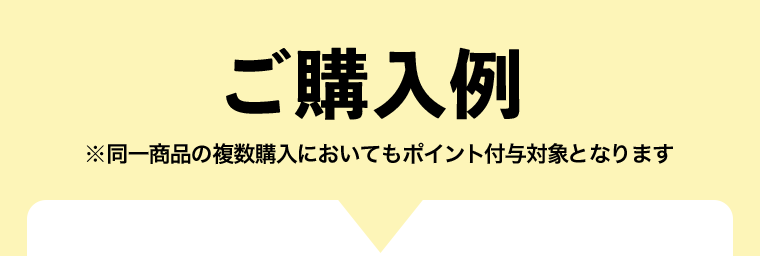 ご購入例