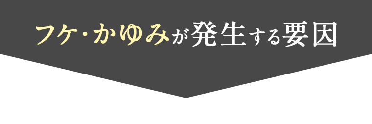 フケ・かゆみが発生する要因