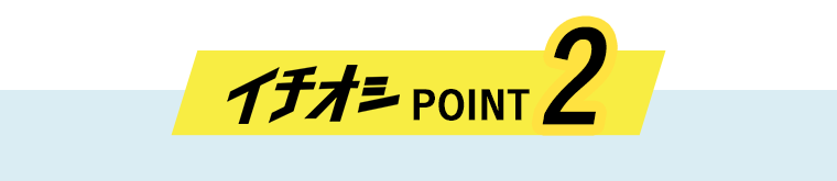 イチオシPOINT2