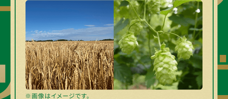 ※画像はイメージです。