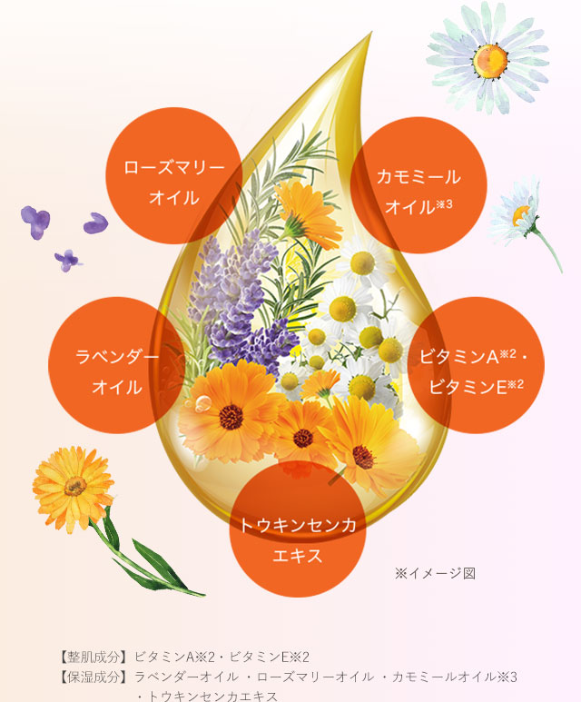 ※イメージ図