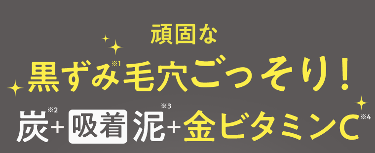 頑固な黒ずみ(※1)毛穴ごっそり！炭(※2)＋[吸着]泥(※3)＋金ビタミンC(※4)