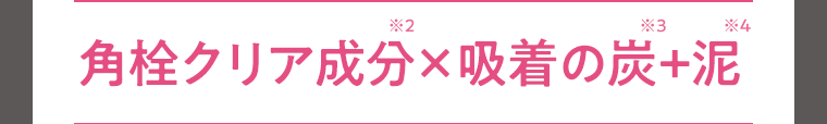 角栓クリア成分(※2)×吸着の炭(※3)＋泥(※4)