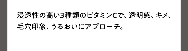 浸透性の高い3種類のビタミンCで、透明感、キメ、毛穴印象、うるおいにアプローチ。