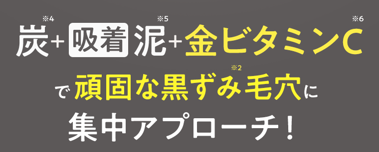炭(※4)＋[吸着]泥(※5)＋金ビタミンC(※6)で頑固な黒ずみ(※2)毛穴に集中アプローチ！