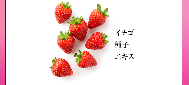 イチゴ種子エキス