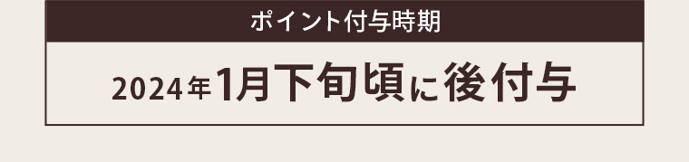 ポイント付与時期 2024年1月下旬頃に後付与