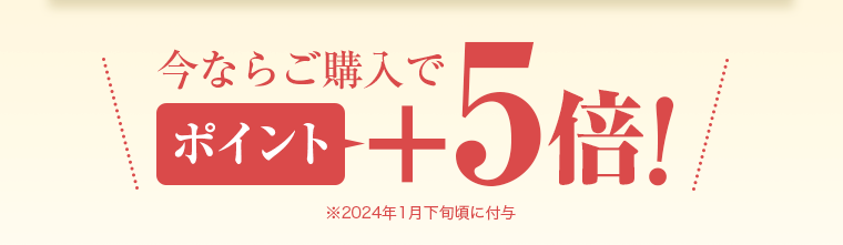 今ならご購入でポイント+5倍!