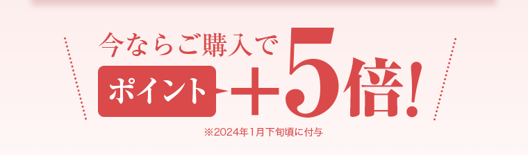 今ならご購入でポイント+5倍!