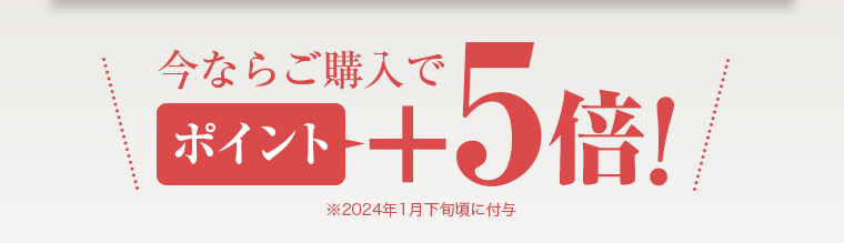 今ならご購入でポイント+5倍!