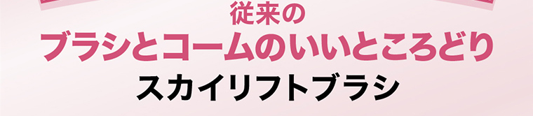 従来のブラシとコームのいいところどり スカイリフトブラシ