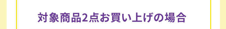 対象商品2点お買い上げの場合