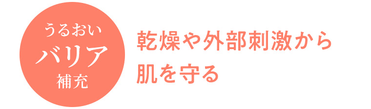 【うるおいバリア補充】乾燥や外部刺激から肌を守る