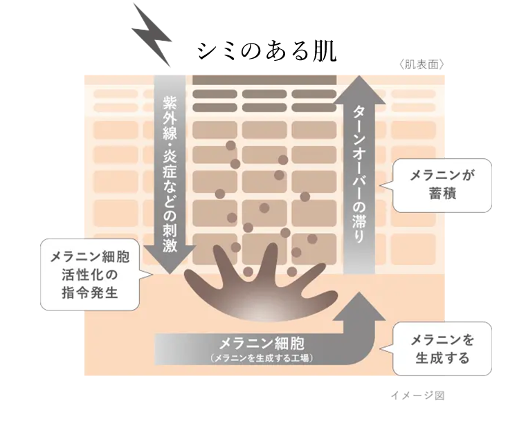 シミのある肌