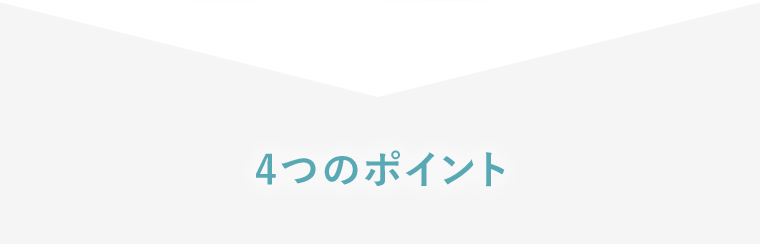 4つのポイント
