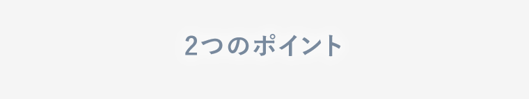 2つのポイント