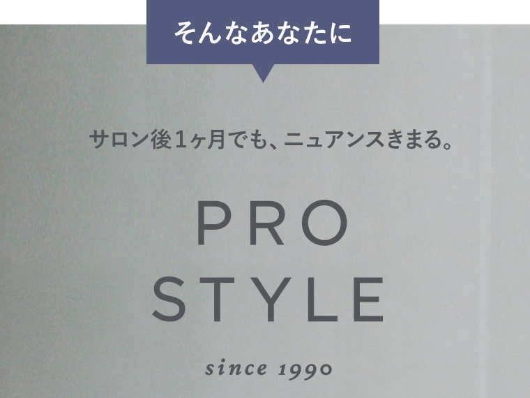 そんなあなたに　サロン後1ヶ月でも、ニュアンスきまる。PRO STYLE since 1990