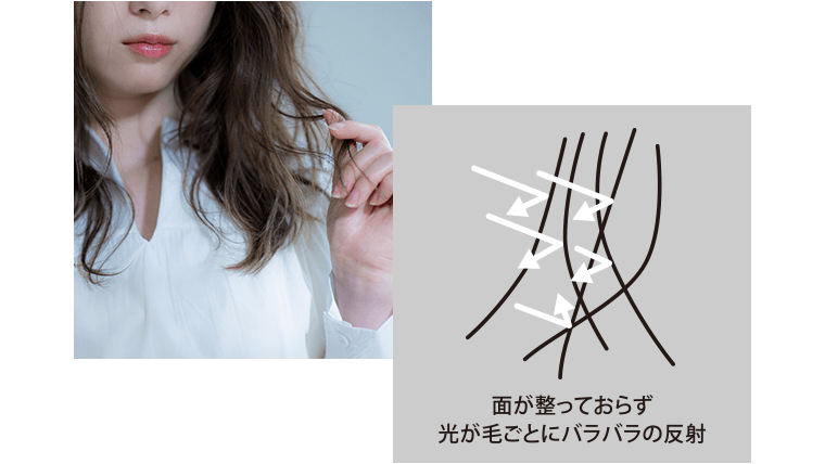 髪は１本ずつ伸びる速さが違うため、バラバラに成長した毛ごとに光が反射し、まとまりのない印象に！