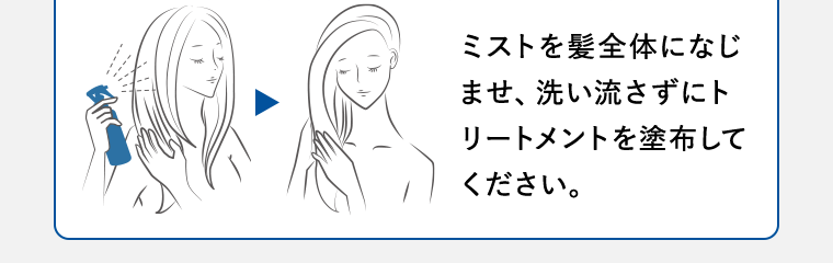 ミストを髪全体になじませ、洗い流さずにトリートメントを塗布してください。