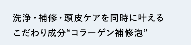洗浄・補修・頭皮ケアを同時に叶えるこだわり成分“コラーゲン補修泡”