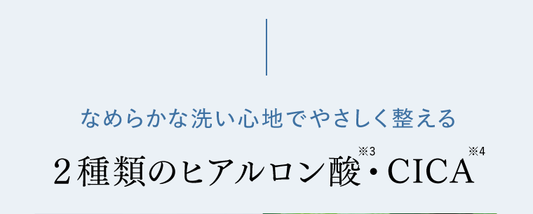 なめらかな洗い心地でやさしく整える　2種類のヒアルロン酸※3・CICA※4