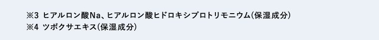 ※3 ヒアルロン酸Na、ヒアルロン酸ヒドロキシプロトリモニウム(保湿成分)　※4 ツボクサエキス(保湿成分)