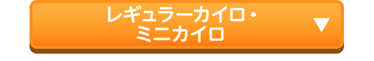 レギュラーカイロ・ミニカイロ