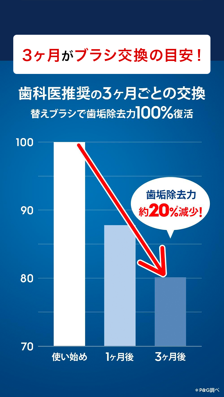 3ヶ月がブラシ交換の目安！
