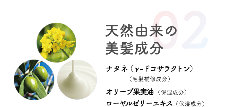 02  天然由来の美髪成分  ナタネ（γ-ドコサラクトン）  オリーブ果実油 （保湿成分）  ローヤルゼリーエキス（保湿成分）