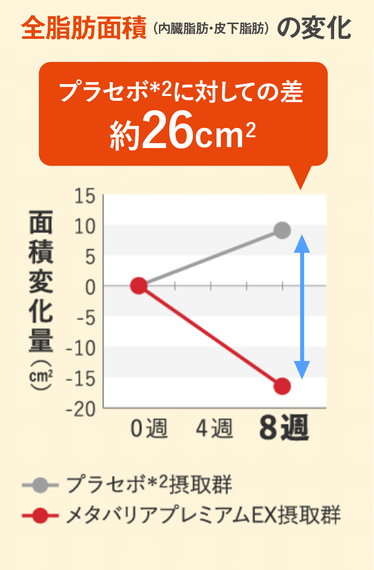全脂肪面積の変化