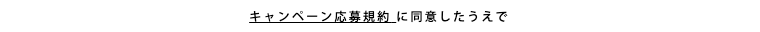 キャンペーン応募規約に同意したうえで