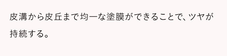 皮溝から皮丘まで均一な塗膜ができることで、ツヤが持続する。