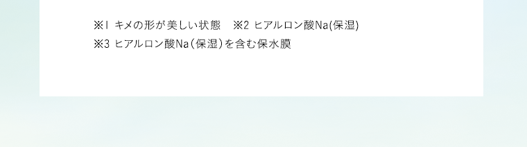 ※1 キメの形が美しい状態　※2 ヒアルロン酸Na（保湿）　※3 ヒアルロン酸Na（保湿）を含む保水膜