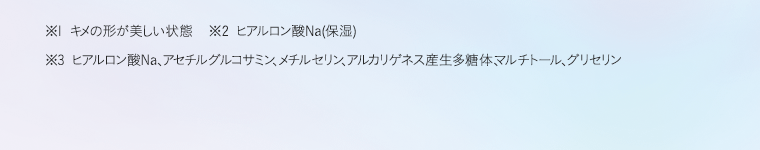 ※1 キメの形が美しい状態　※2 ヒアルロン酸Na(保湿)　※3 ヒアルロン酸Na、アセチルグルコサミン、メチルセリン、アルカリゲネス産生多糖体、マルチトール、グリセリン