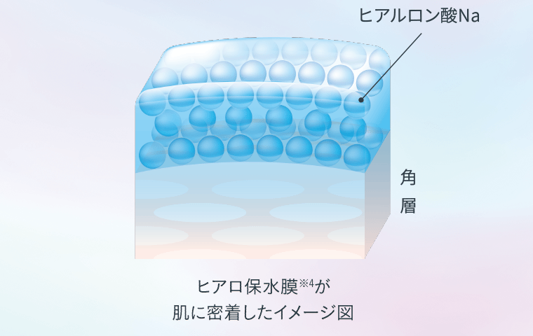 ヒアロ保水膜※1が肌に密着したイメージ図