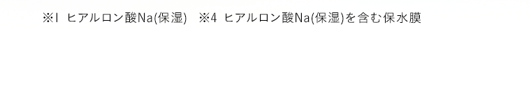 ※1 キメの形が美しい状態　※2 ヒアルロン酸Na(保湿)　※3 ヒアルロン酸Na(保湿)を含む保水膜