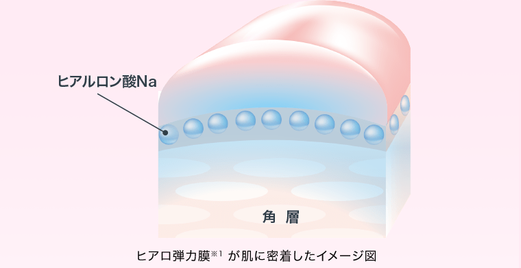 ヒアロ弾力膜※1が肌に密着したイメージ図