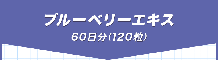 ブルーベリーエキス　60日分（120粒）