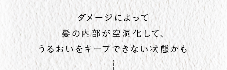 ダメージによって髪の内部が空洞化して、うるおいをキープできない状態かも