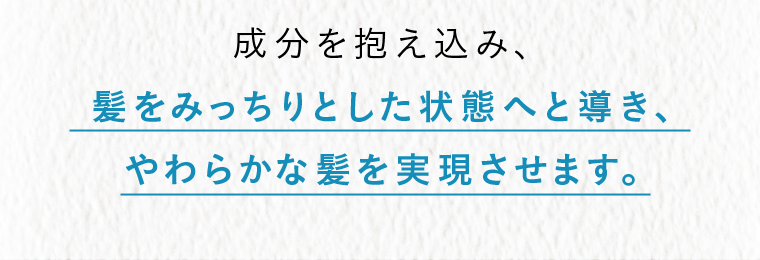 髪をみっちりとした状態へと導き、やわらかな髪を実現させます。