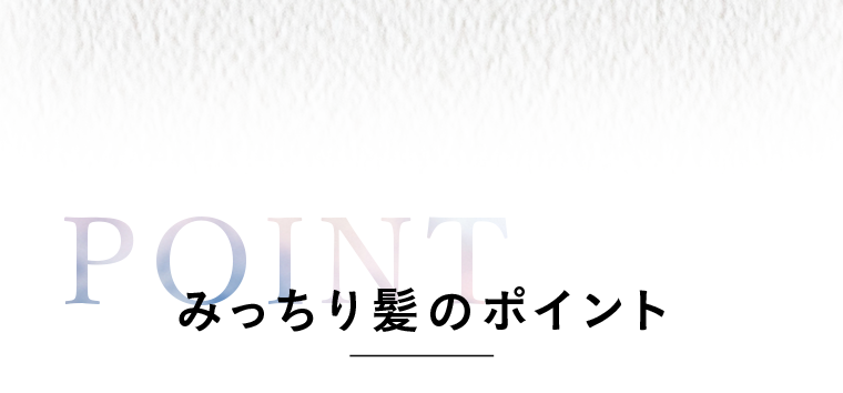 みっちり髪のポイント