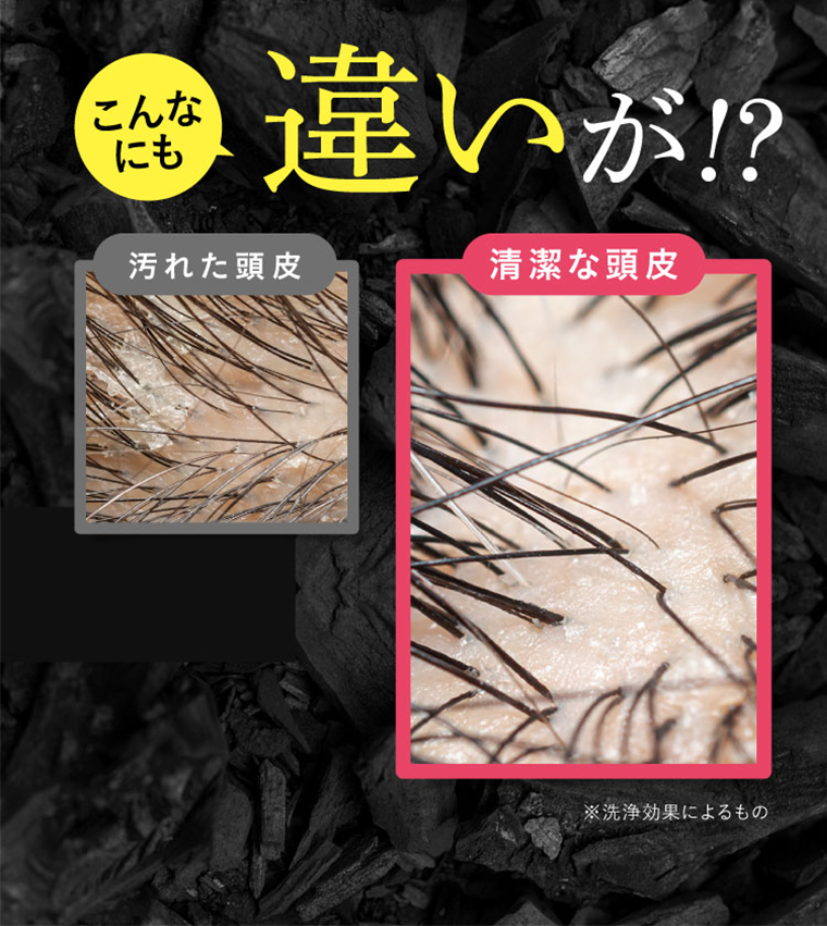 こんなにも違いが！？