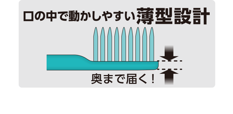 口の中で動かしやすい薄型設計　奥まで届く！